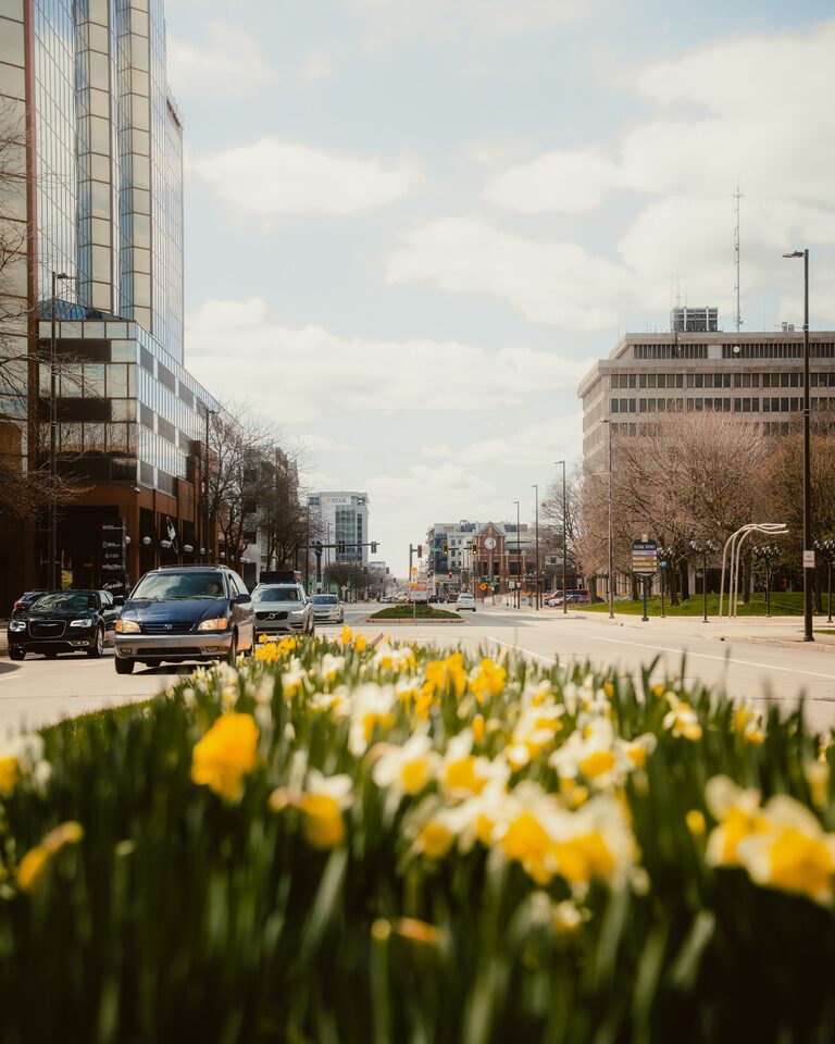 Making the Most of Spring in DTFW: A Guide