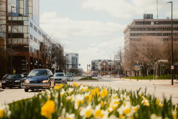 Making the Most of Spring in DTFW: A Guide