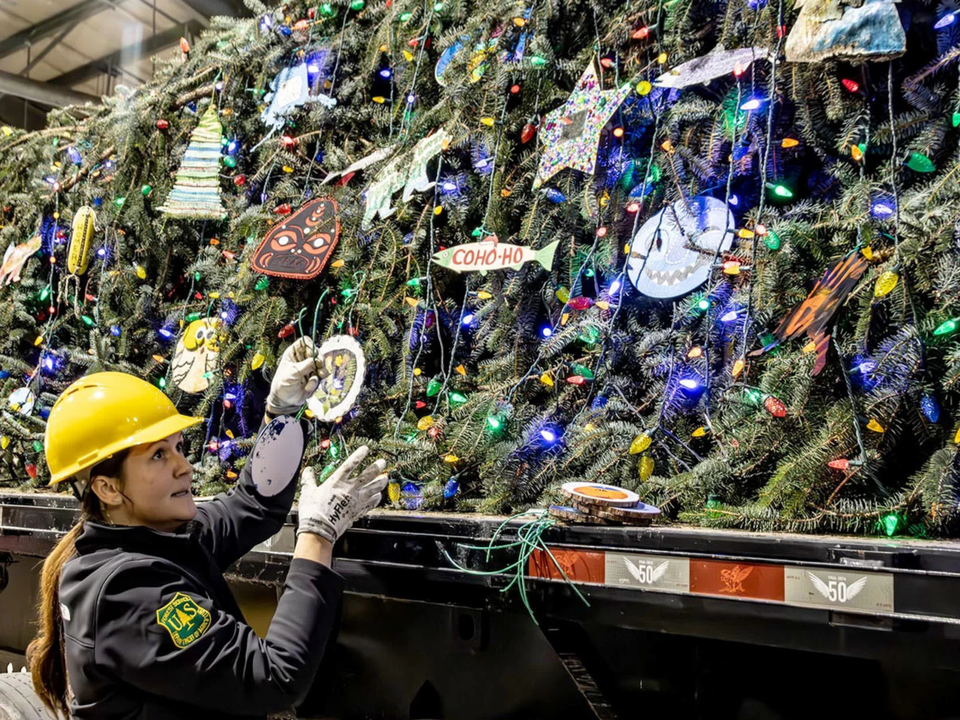 Rockin’ Around The [US Capitol] Christmas Tree