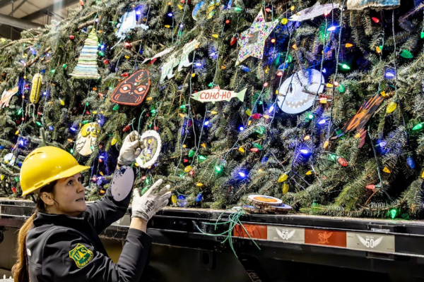 Rockin’ Around The [US Capitol] Christmas Tree